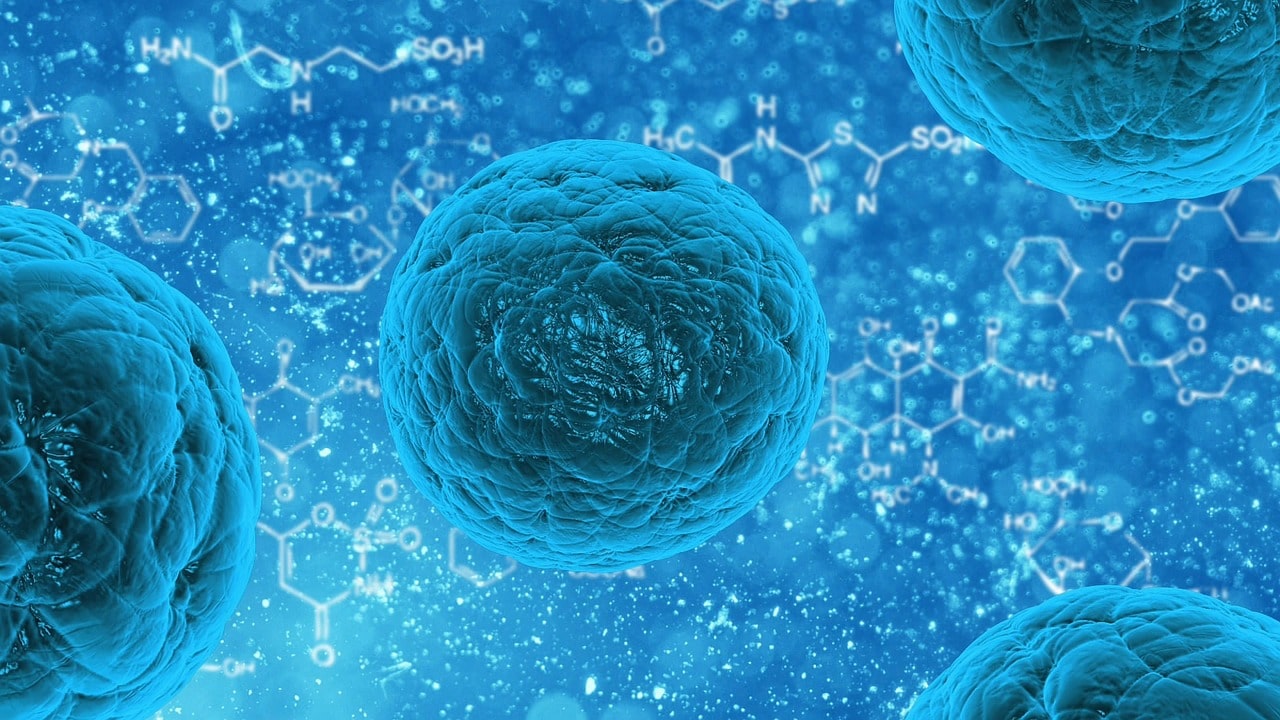 How to Find a Licensed Stem Cell Clinic in Mexico: 7 Key Factors